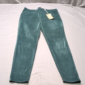 NWT Madewell Womens Green Velvet High Rise Skinny Pants Size 30W